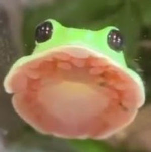 Meet your Posher, Trash